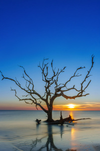 Jekyll Island Georgia Usa (720x1280) Resolution Wallpaper