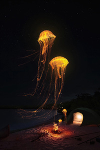 Jellyfish At Shore Dance Of The Thunder Seas (320x480) Resolution Wallpaper