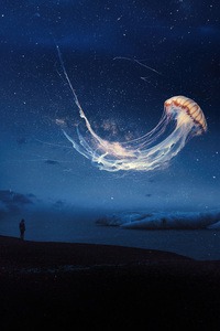 Jellyfish Dream Surreal Night Sky Alone (800x1280) Resolution Wallpaper