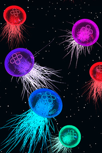 640x1136 Jellyfish Space Colorful Abstract 4k