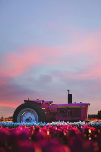 John Deere Tractor In Flower Farm 4k (360x640) Resolution Wallpaper