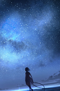 Just Another Starry Sky (1280x2120) Resolution Wallpaper