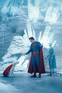 Kelex And Krypto With Superman (240x400) Resolution Wallpaper