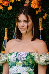 Kendall Jenner In 2017