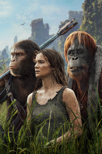 Kingdom Of The Planet Of The Apes 2024 4k (480x800) Resolution Wallpaper