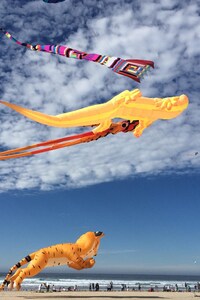 Kites (1280x2120) Resolution Wallpaper