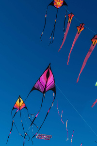 2160x3840 Kites In Air