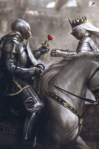 640x1136 Knight Armor Rose 4k