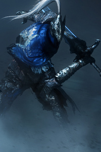 Knight Artorias Squaring Off Against Another Knight (240x320) Resolution Wallpaper