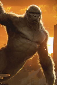 Kong V Godzilla 5k