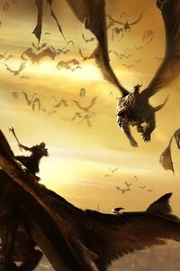 Lair Dragons (1080x2160) Resolution Wallpaper