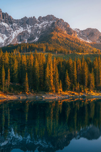 Lake Carezza Welschnofen Bolzano South Tyrol Italy (360x640) Resolution Wallpaper
