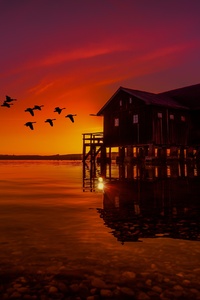 Lake House On Pier Birds Flying Sunset Scenery