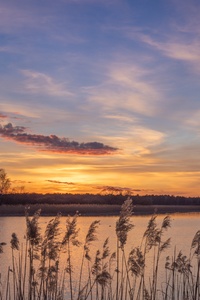 320x568 Lake Sunset Sky Poland Spring