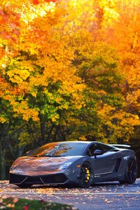 Lamborghini Autumn Gallardo