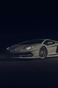 Lamborghini Aventador Svj Track Beast Mode (1080x1920) Resolution Wallpaper