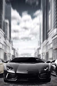 Lamborghinis Black And White 4k (1080x2280) Resolution Wallpaper