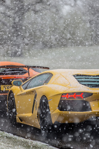 Lambos In The Snow (480x800) Resolution Wallpaper