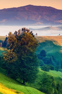 Landscape Beautiful 4k (640x1136) Resolution Wallpaper