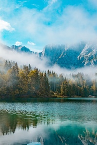 Landscape Itlay Forest Mist Mountains 4k (720x1280) Resolution Wallpaper