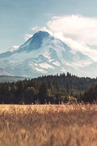 Landscape Mountain (1080x1920) Resolution Wallpaper
