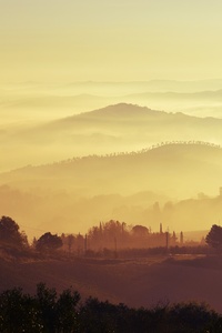 Landscape Mountain Range Trees Woodland Forest Mist Fog 5k (1080x2160) Resolution Wallpaper