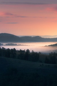 Landscape With Trees And Fog 5k (320x568) Resolution Wallpaper