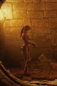 Lara Croft In Shadow Of The Tomb Raider (1080x2160) Resolution Wallpaper