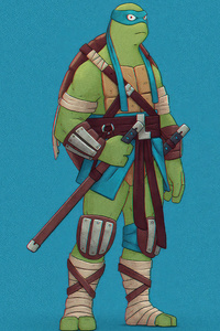 Leo Teenage Mutant Ninja Turtles (320x568) Resolution Wallpaper