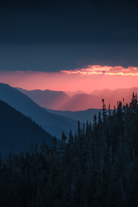 Light Rays Breaking Through In The White Mountains National Forest (360x640) Resolution Wallpaper