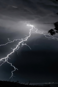 Lightning Strikes On Trees 4k (540x960) Resolution Wallpaper