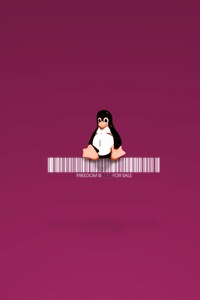 720x1280 Linux Penguin