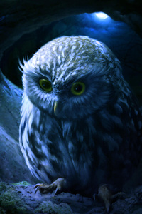 Little Owl (800x1280) Resolution Wallpaper