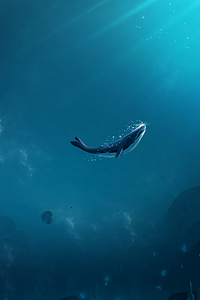 Lonely Whale (1440x2960) Resolution Wallpaper