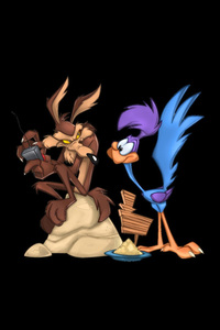 Looney Tunes Wile E Coyote And The Road Runner (800x1280) Resolution Wallpaper