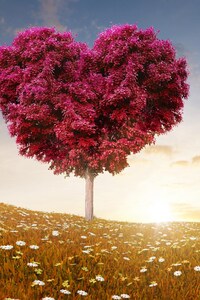 1080x2160 Love Heart Tree