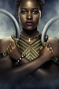 Lupita Nyongo In Black Panther Poster 5k