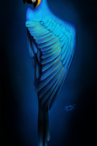 Macaw Digital Art