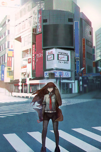 Makise Kurisu Anime Manga Character 4k (480x854) Resolution Wallpaper