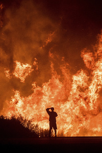 Man Watching Fire In The Jungle (2160x3840) Resolution Wallpaper