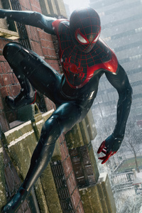 Marvels Spider Man Miles Morales 2024 (240x400) Resolution Wallpaper