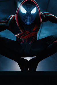 Marvels Spider Man Miles Morales 5k