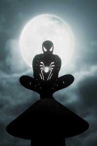 800x1280 Marvels Spider Man Remastered Night Interval