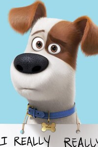 Max In The Secret Life Of Pets