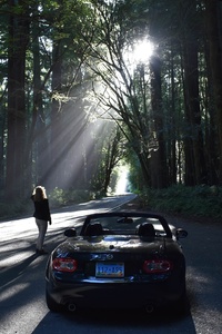 Mazda Sports Car In Forest Road (240x400) Resolution Wallpaper