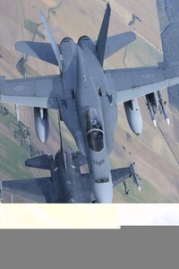 McDonnell Douglas CF-18 Hornet General Dynamics F-16 Fighting Falcon Jet Fighter Aircraft Warplane