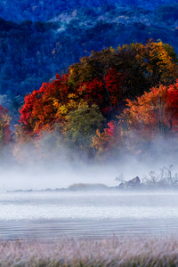 Melody Of Mist Dawn At Lake Hibara (2160x3840) Resolution Wallpaper