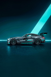 Mercedes Amg Gt2 Pro (640x1136) Resolution Wallpaper