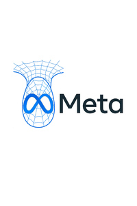 Meta X Spider Verse (800x1280) Resolution Wallpaper