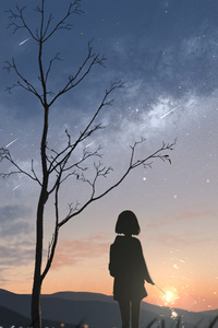 Meteor Streak In Sky And Anime Alone (1080x2280) Resolution Wallpaper